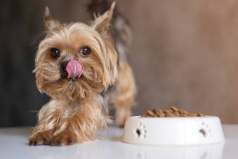 Feeding_img