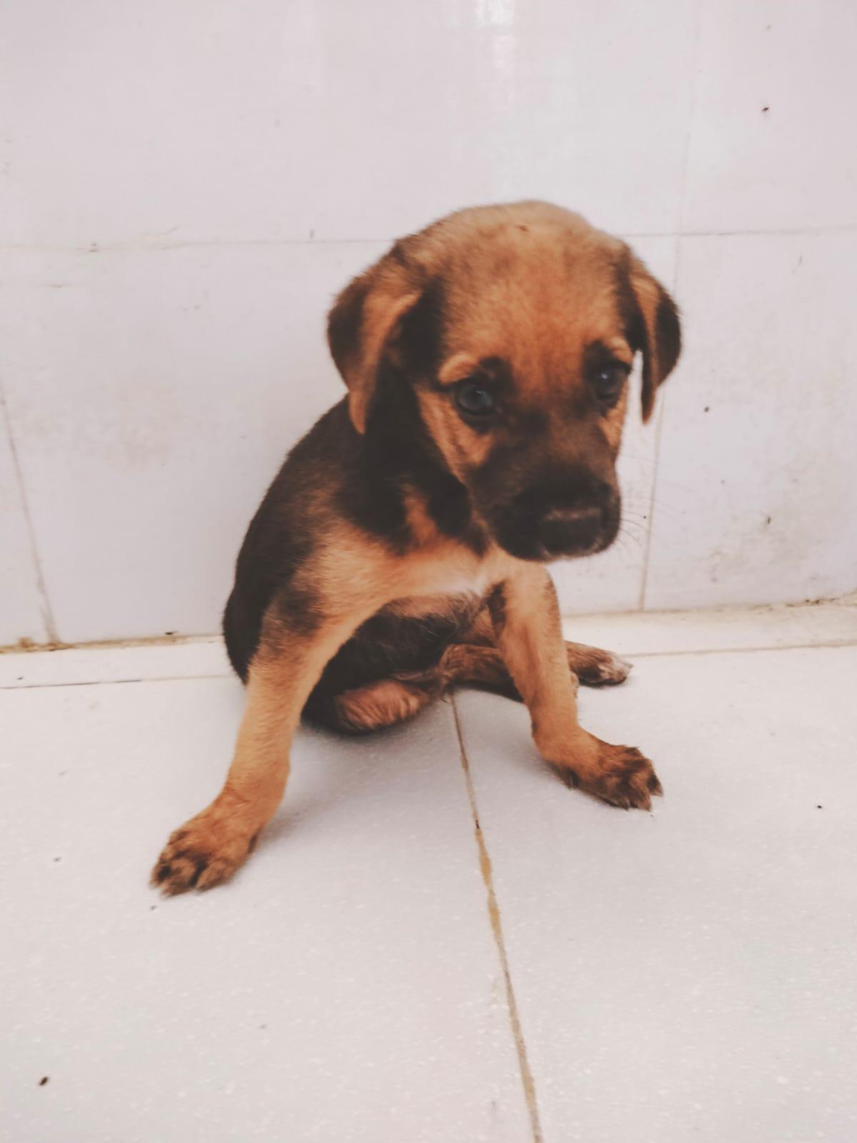 Jack image 0